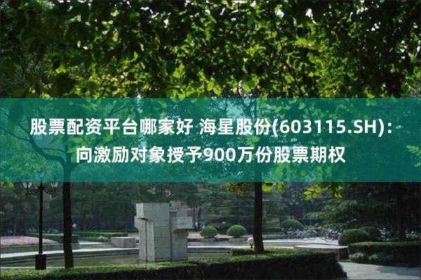 股票配资平台哪家好 海星股份(603115.SH)：向激励对象授予900万份股票期权