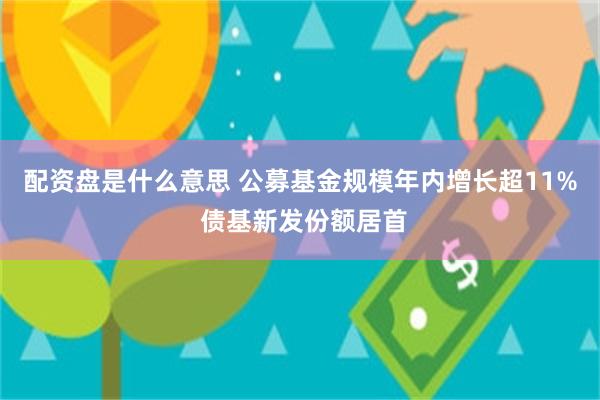 配资盘是什么意思 公募基金规模年内增长超11% 债基新发份额居首