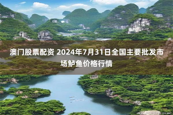 澳门股票配资 2024年7月31日全国主要批发市场鲈鱼价格行情