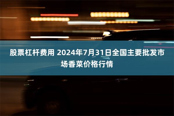 股票杠杆费用 2024年7月31日全国主要批发市场香菜价格行情