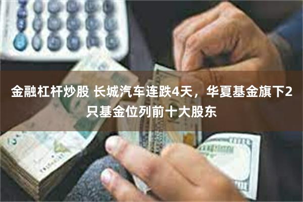 金融杠杆炒股 长城汽车连跌4天，华夏基金旗下2只基金位列前十大股东