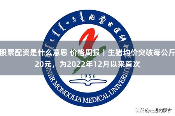 股票配资是什么意思 价格周报｜生猪均价突破每公斤20元，为2022年12月以来首次