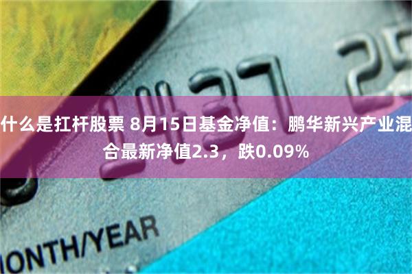 什么是扛杆股票 8月15日基金净值：鹏华新兴产业混合最新净值2.3，跌0.09%