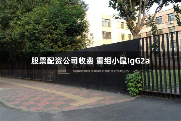 股票配资公司收费 重组小鼠IgG2a