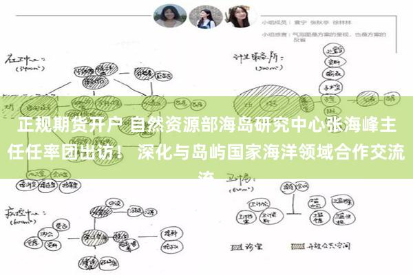 正规期货开户 自然资源部海岛研究中心张海峰主任任率团出访！ 深化与岛屿国家海洋领域合作交流