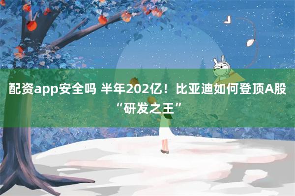 配资app安全吗 半年202亿！比亚迪如何登顶A股“研发之王”