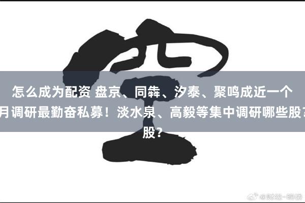 怎么成为配资 盘京、同犇、汐泰、聚鸣成近一个月调研最勤奋私募！淡水泉、高毅等集中调研哪些股？