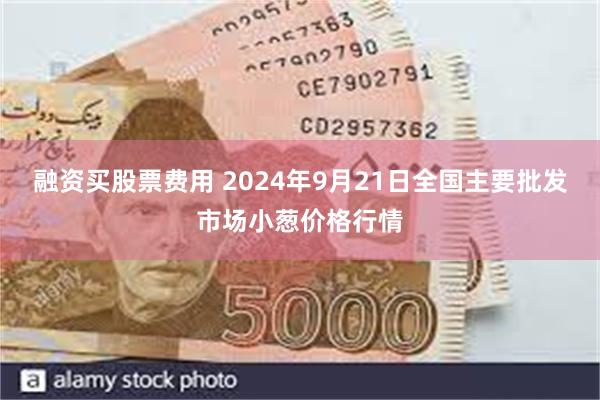 融资买股票费用 2024年9月21日全国主要批发市场小葱价格行情