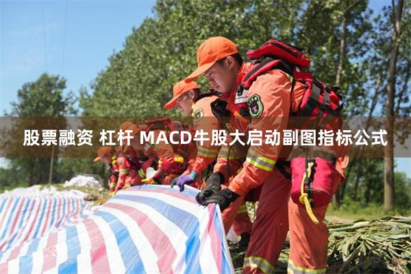 股票融资 杠杆 MACD牛股大启动副图指标公式