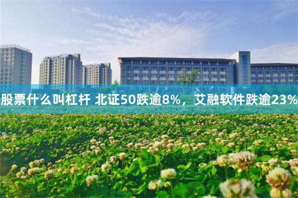 股票什么叫杠杆 北证50跌逾8%，艾融软件跌逾23%