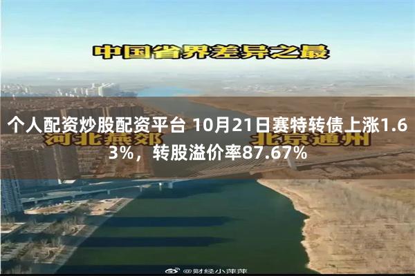 个人配资炒股配资平台 10月21日赛特转债上涨1.63%，转股溢价率87.67%