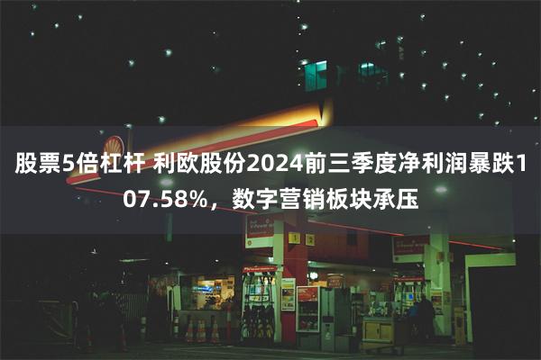 股票5倍杠杆 利欧股份2024前三季度净利润暴跌107.58%，数字营销板块承压