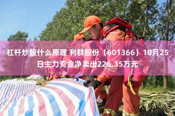 杠杆炒股什么原理 利群股份（601366）10月25日主力资金净卖出226.35万元