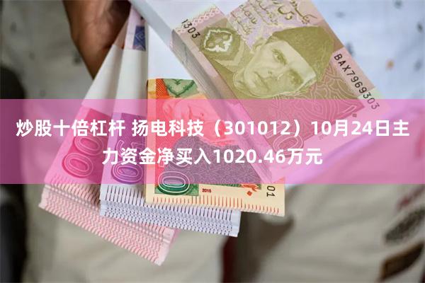 炒股十倍杠杆 扬电科技（301012）10月24日主力资金净买入1020.46万元