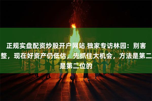 正规实盘配资炒股开户网站 独家专访林园：别害怕调整，现在好资产仍低估，先抓住大机会，方法是第二位的