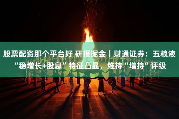 股票配资那个平台好 研报掘金丨财通证券：五粮液“稳增长+股息”特征凸显，维持“增持”评级