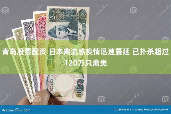 青岛股票配资 日本禽流感疫情迅速蔓延 已扑杀超过120万只禽类