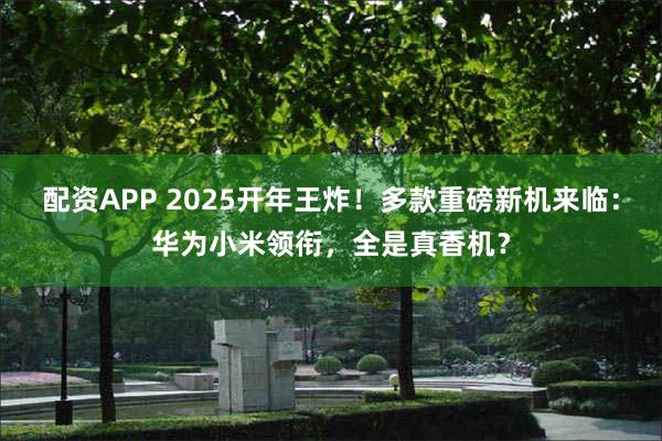 配资APP 2025开年王炸！多款重磅新机来临：华为小米领衔，全是真香机？