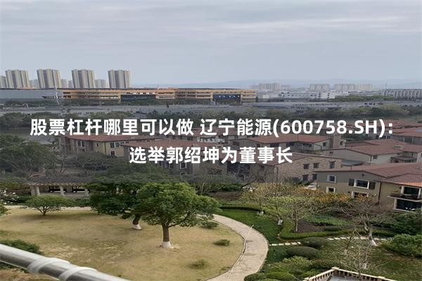 股票杠杆哪里可以做 辽宁能源(600758.SH)：选举郭绍坤为董事长