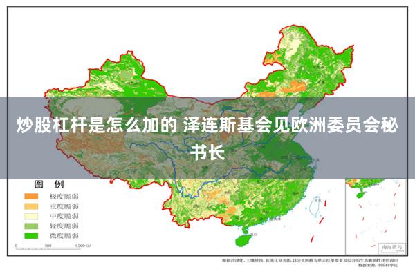 炒股杠杆是怎么加的 泽连斯基会见欧洲委员会秘书长