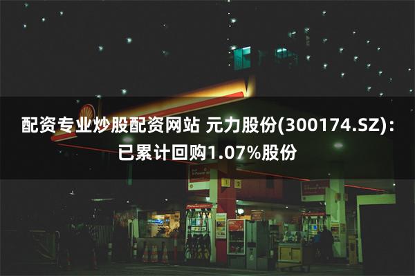 配资专业炒股配资网站 元力股份(300174.SZ)：已累计回购1.07%股份