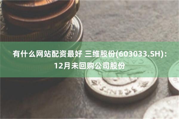 有什么网站配资最好 三维股份(603033.SH)：12月未回购公司股份