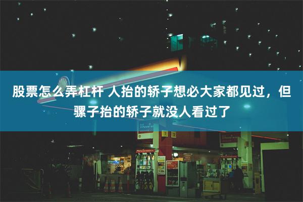 股票怎么弄杠杆 人抬的轿子想必大家都见过，但骡子抬的轿子就没人看过了