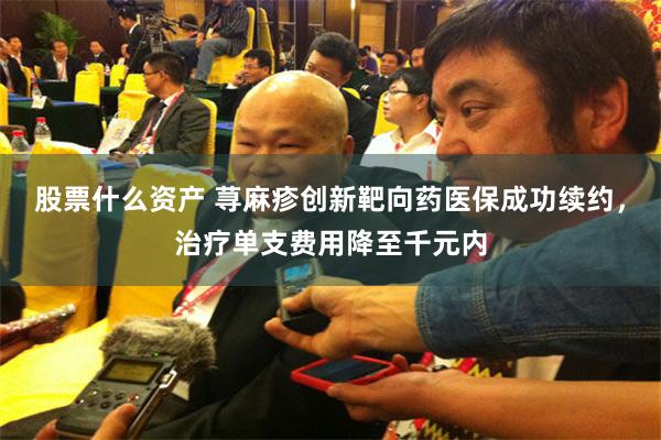 股票什么资产 荨麻疹创新靶向药医保成功续约，治疗单支费用降至千元内