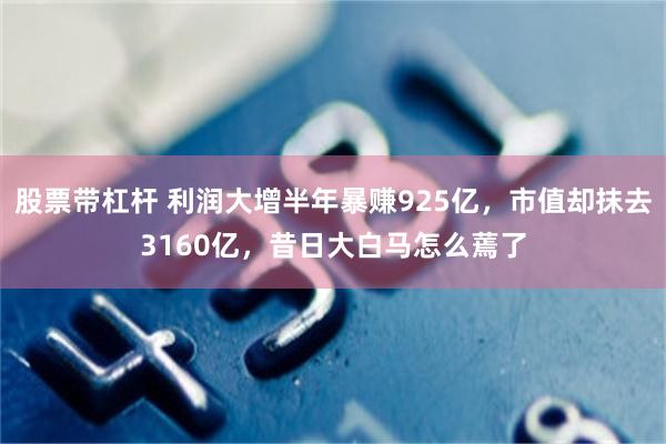股票带杠杆 利润大增半年暴赚925亿，市值却抹去3160亿，昔日大白马怎么蔫了